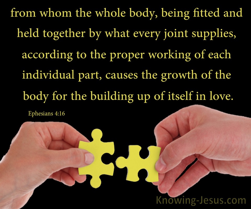 Ephesians 4:16 The Body Fitted And Held Together (yellow)
